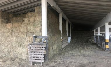 Hacienda Agroindustrial y Ganadera