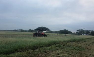 Hacienda Agroindustrial y Ganadera