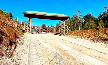 Casa De Madera Con Finas Terminaciones En Bosque De Cahuil