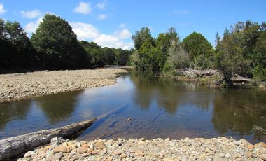 Se Vende Campo de 41 Has. en Quildaco Comuna de  Hualaihue