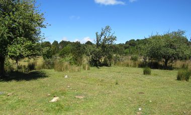 Se Vende Campo de 41 Has. en Quildaco Comuna de  Hualaihue