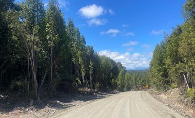Se Vende Campo de 41 Has. en Quildaco Comuna de  Hualaihue