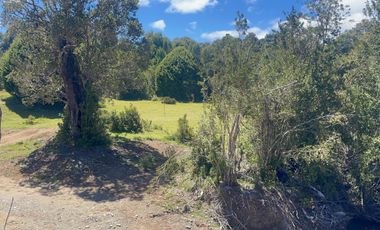 Se Vende Campo de 41 Has. en Quildaco Comuna de  Hualaihue