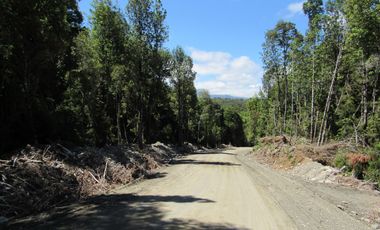 Se Vende Campo de 41 Has. en Quildaco Comuna de  Hualaihue