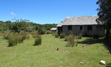 Se Vende Campo de 41 Has. en Quildaco Comuna de  Hualaihue