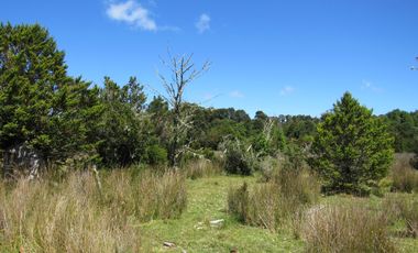 Se Vende Campo de 41 Has. en Quildaco Comuna de  Hualaihue