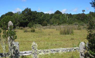 Se Vende Campo de 41 Has. en Quildaco Comuna de  Hualaihue