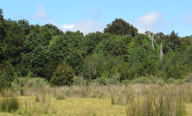 Se Vende Campo de 41 Has. en Quildaco Comuna de  Hualaihue