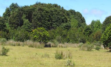 Se Vende Campo de 41 Has. en Quildaco Comuna de  Hualaihue