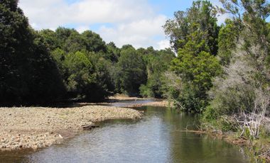 Se Vende Campo de 41 Has. en Quildaco Comuna de  Hualaihue