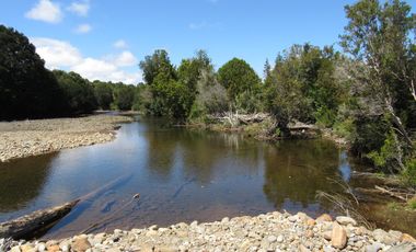 Se Vende Campo de 41 Has. en Quildaco Comuna de  Hualaihue