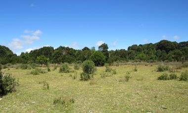 Se Vende Campo de 41 Has. en Quildaco Comuna de  Hualaihue
