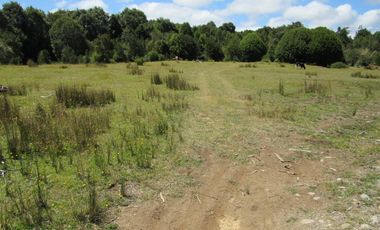 Se Vende Campo de 41 Has. en Quildaco Comuna de  Hualaihue