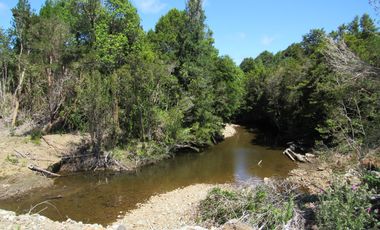 Se Vende Campo de 41 Has. en Quildaco Comuna de  Hualaihue