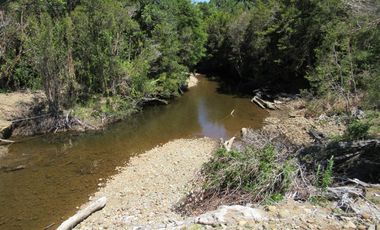 Se Vende Campo de 41 Has. en Quildaco Comuna de  Hualaihue