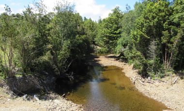 Se Vende Campo de 41 Has. en Quildaco Comuna de  Hualaihue