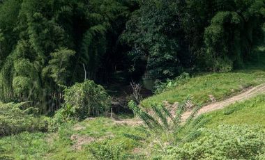 SE VENDE HACIENDA GANADERA EN PRODUCCIÓN 189 HAS. BOCANA DEL BUA - MONTERREY - LA CONCORDIA - SANTO DOMINGO DE LOS TSACHILAS - ECUADOR