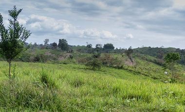 SE VENDE HACIENDA GANADERA EN PRODUCCIÓN 189 HAS. BOCANA DEL BUA - MONTERREY - LA CONCORDIA - SANTO DOMINGO DE LOS TSACHILAS - ECUADOR