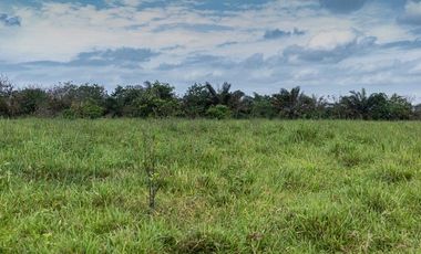 SE VENDE HACIENDA GANADERA EN PRODUCCIÓN 189 HAS. BOCANA DEL BUA - MONTERREY - LA CONCORDIA - SANTO DOMINGO DE LOS TSACHILAS - ECUADOR