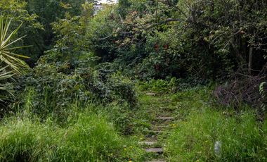 VENTA DE CASA  A UNOS PASOS DEL CENTRO DE MINERAL DEL CHICO