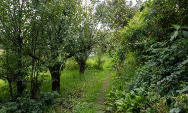 VENTA DE CASA  A UNOS PASOS DEL CENTRO DE MINERAL DEL CHICO
