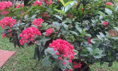 VENTA HERMOSA CASA CAMPESTRE EN CONDOMINIO JAMUNDI: