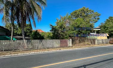 Land in San Kamphaeng for Sale