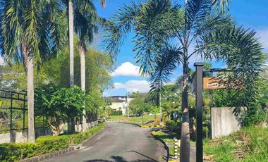 The Palms Pointe Alabang Lot For Sale 1 KM From Filinvest Exit Near Asian Hospital And Medical Center Alabang