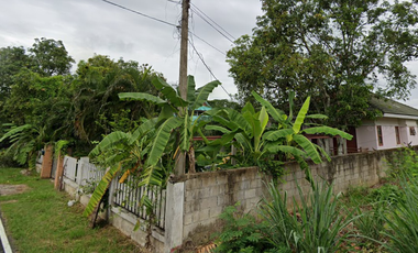 Land for sale with buildings, San Kamphaeng, 207.5 sq m.