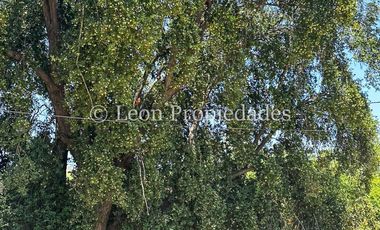 Leon Propiedades vende parcela con casa en sector Hornitos, Curacaví.