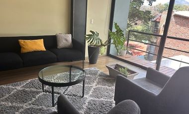 Renta departamento amueblado