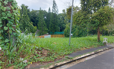 220SQM FORECLOSED LOT FOR SALE IN GREENWOODS VILLAGE, DASMARIÑAS CITY, CAVITE