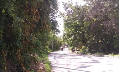 TERRENO EN VENTA, ANENECUILCO, MORELOS.