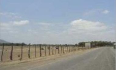 Terreno para planta agro Industrial o afines en Motupe