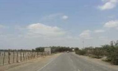 Terreno para planta agro Industrial o afines en Motupe