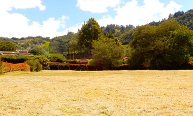 En Terreno plano con Hermosos Jardines y Zonas Verdes