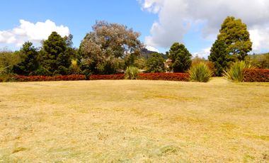 En Terreno plano con Hermosos Jardines y Zonas Verdes