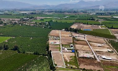 CALLE LARGA - VENDE TERRENO 5.000m2 LOS VILLARES