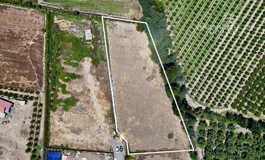CALLE LARGA - VENDE TERRENO 5.000m2 LOS VILLARES