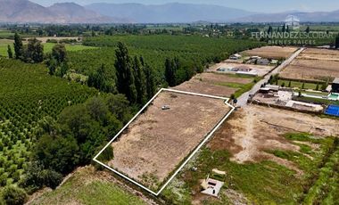 CALLE LARGA - VENDE TERRENO 5.000m2 LOS VILLARES
