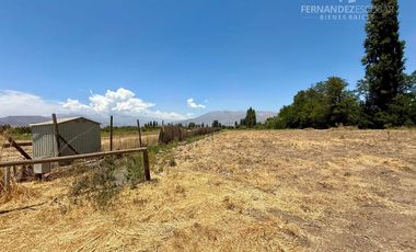 CALLE LARGA - VENDE TERRENO 5.000m2 LOS VILLARES