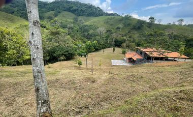 VENTA FINCA EN SAN CARLOS ANTIOQUIA