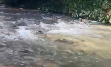 VENTA FINCA EN SAN CARLOS ANTIOQUIA
