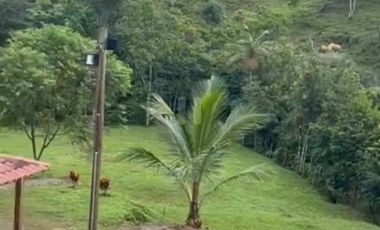 VENTA FINCA EN SAN CARLOS ANTIOQUIA