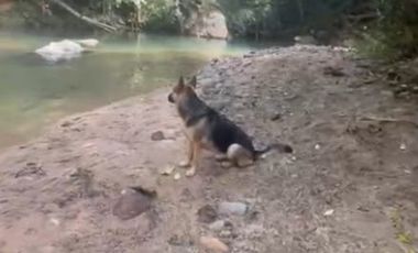 VENTA FINCA EN SAN CARLOS ANTIOQUIA