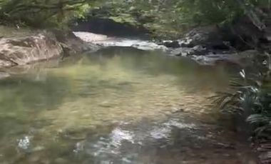 VENTA FINCA EN SAN CARLOS ANTIOQUIA