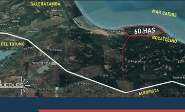 BOCATOCINO – 62 HECTÁREAS ENTRE BARRANQUILLA Y CARTAGENA