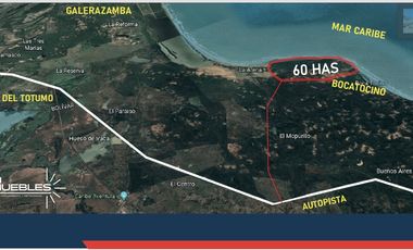 BOCATOCINO – 62 HECTÁREAS ENTRE BARRANQUILLA Y CARTAGENA