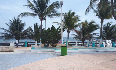 Casa en Renta en Aldea Ha en Puerto Morelos Quintana Roo