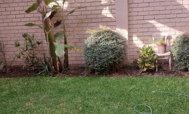 Buena Casa Salamanca